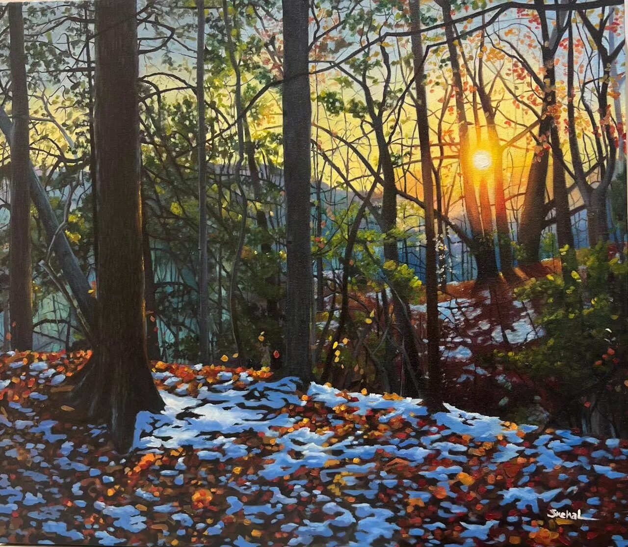 February Dawn February Dawn